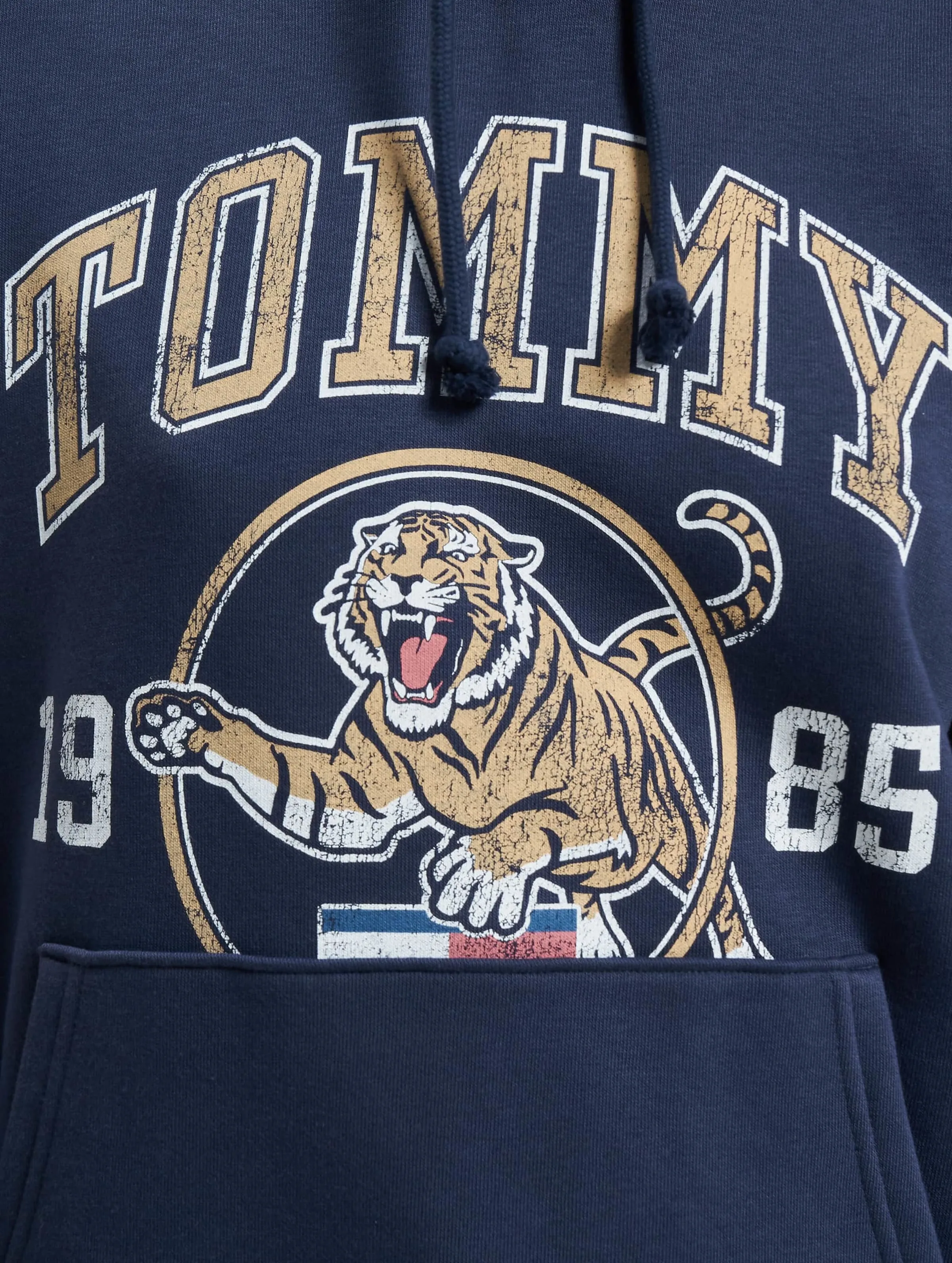 College Tiger 