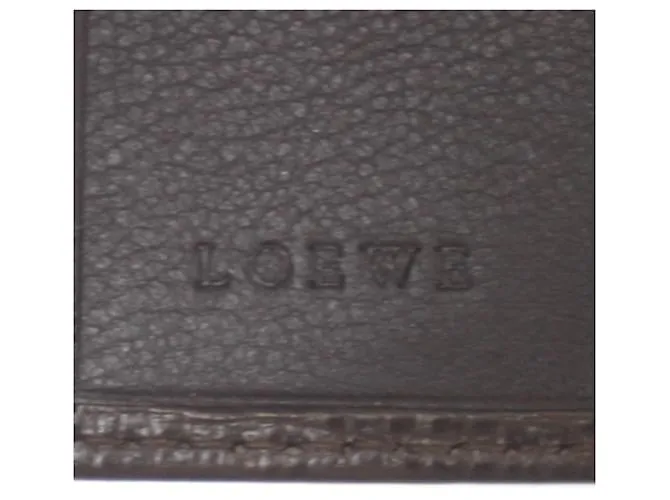 Estuche para llaves Loewe Castaño 