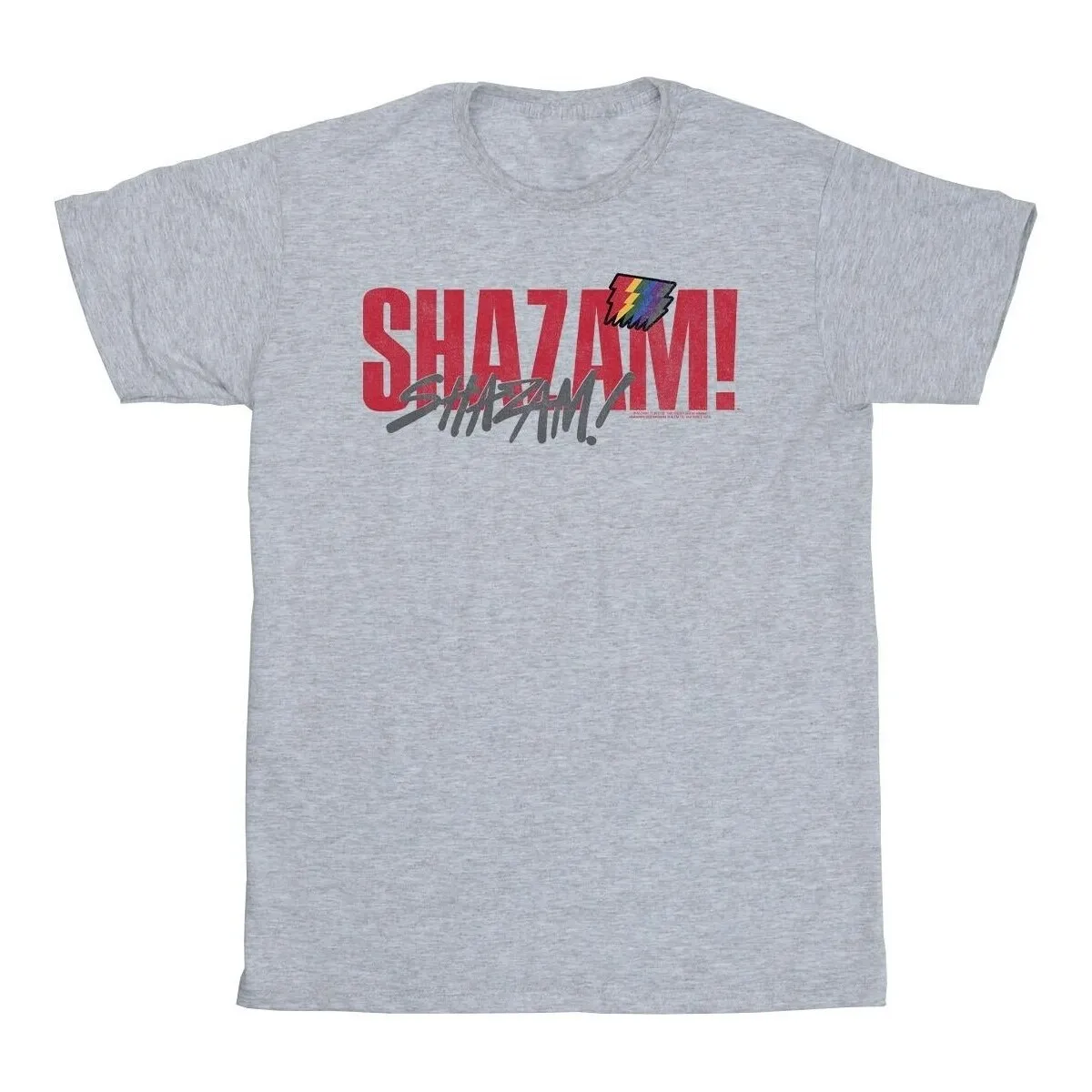 Shazam Fury Of The Gods Pride Distress